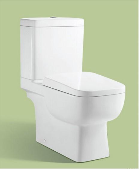 pack sanitario modelo duxbury dual